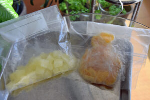 柚子冷凍保存