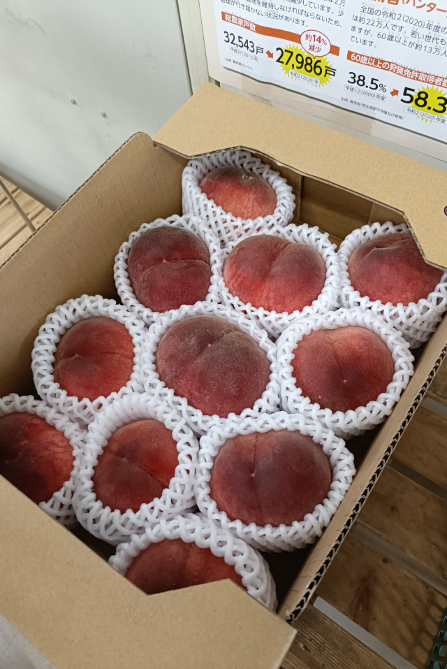 はねだし桃